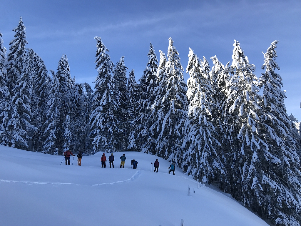 02_16. Jan 21_SAC Schneeschuhtour Schwarzsee (102).jpg